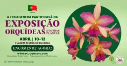 A Ecuagenera participará na Exposição Orquídeas & Outras Plantas