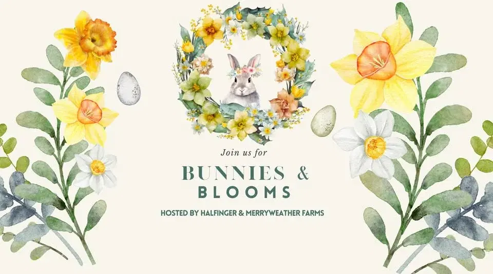 Bunnies & Blooms