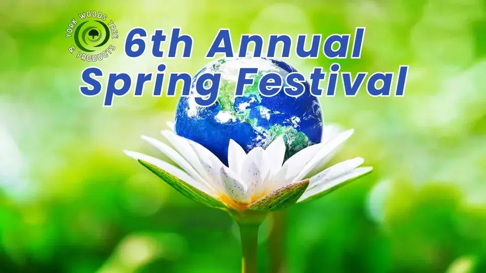 6th Annual Spring Festival