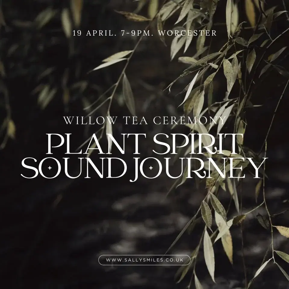 Willow Plant Spirit Sound Journey