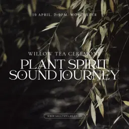 Willow Plant Spirit Sound Journey