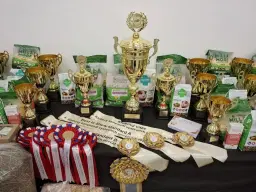 5. Klubový šampionát výstavních morčat