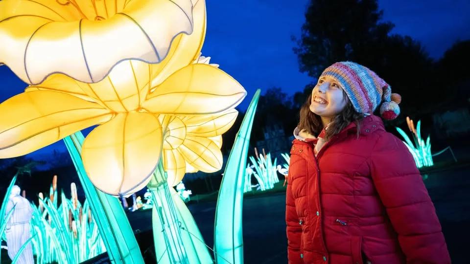 The Festival of Light - Member Exclusive Evening