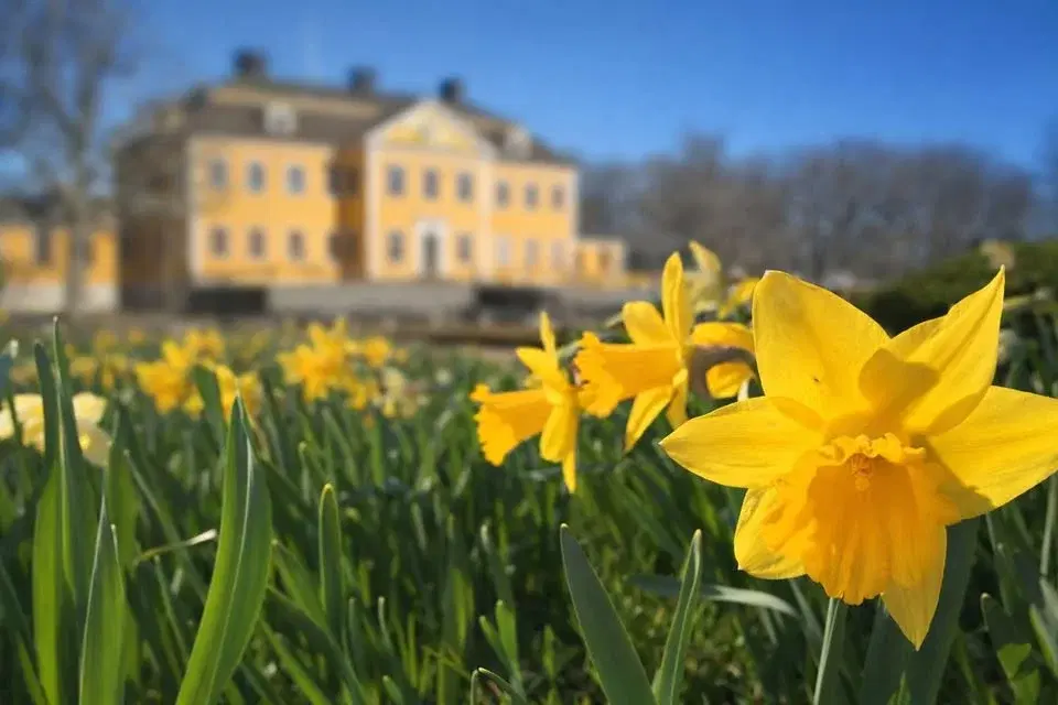 Öppen Herrgård - Fira påsk i Lövstabruk!
