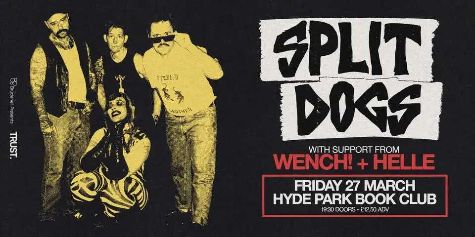 Split Dogs, Live in Leeds