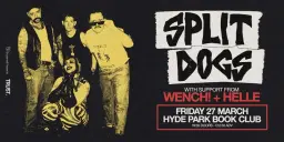 Split Dogs, Live in Leeds