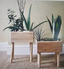 Brand new Two Planters