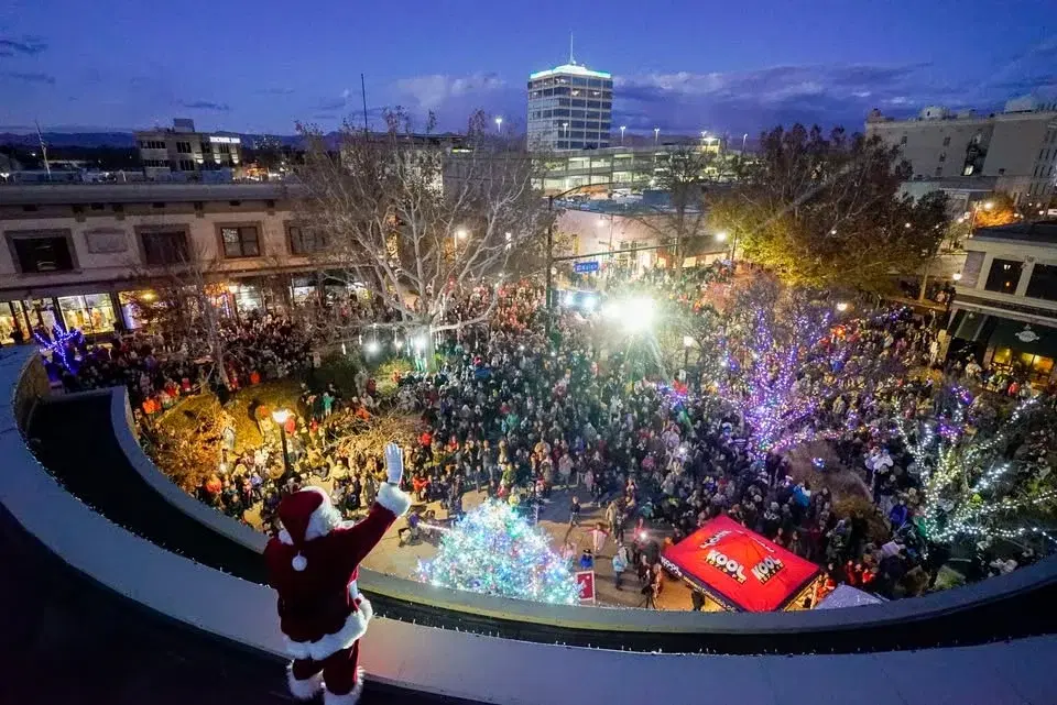 Downtown Tree Lighting