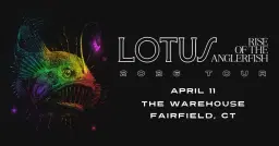 Lotus • Fairfield, CT • The Warehouse