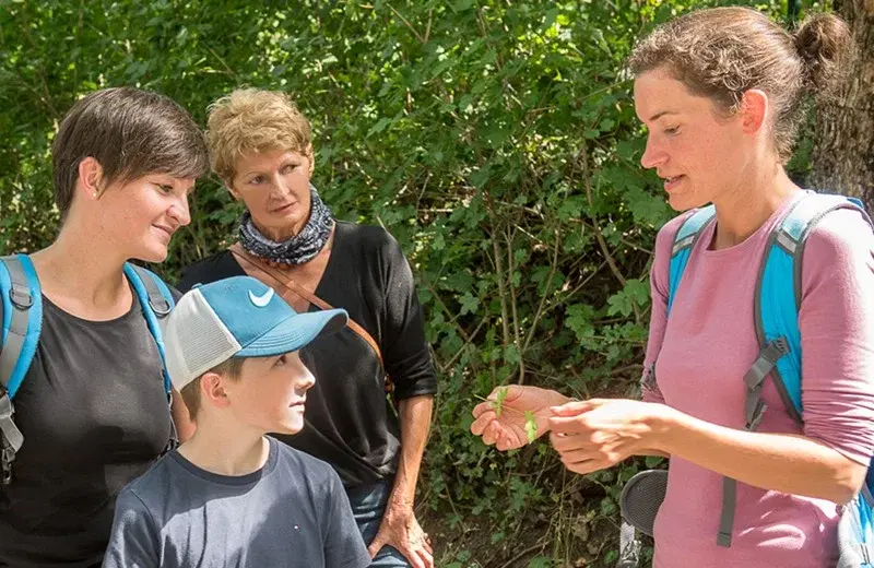 Kräuterwanderung in Eggenburg