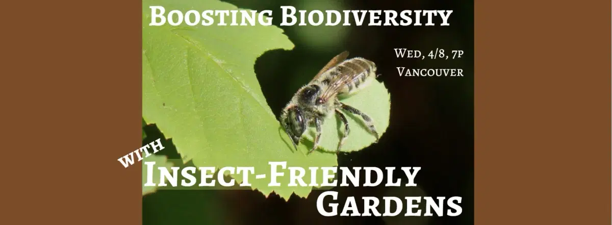 Boosting Biodiversity with Insect-Friendly Gardens