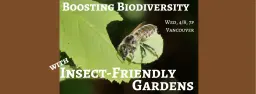 Boosting Biodiversity with Insect-Friendly Gardens
