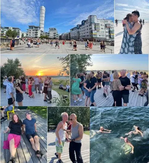 Skånefoxen Sommar 2026 - Fox till modern musik