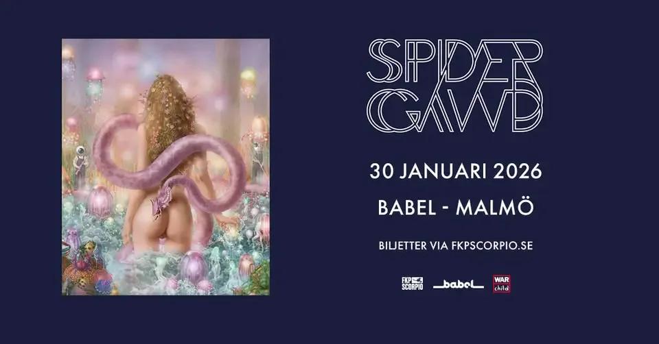 Spidergawd | Malmö