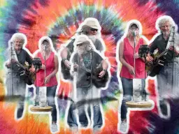 Concerts in the Park