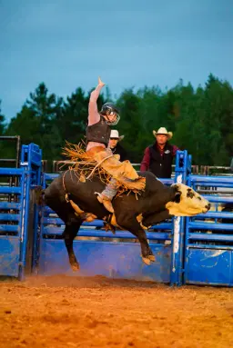 Bull Riding, Barrel Racing, and Mutton Bustin' by CC Bucking Bulls