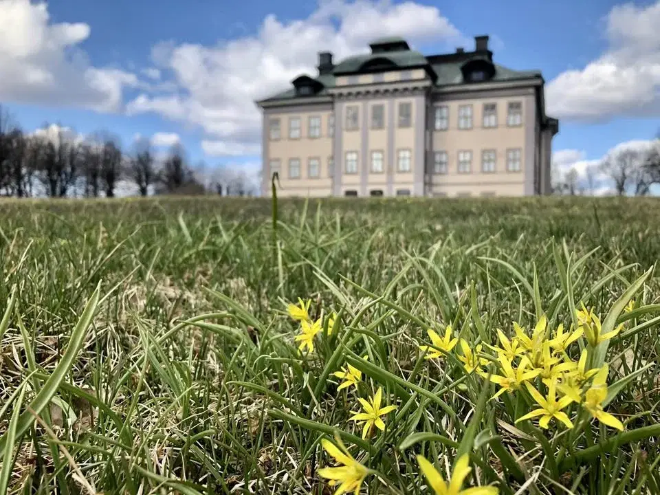 Konst i påsk på Salsta slott 2026