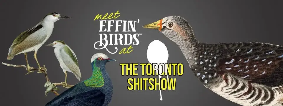 Effin’ Birds at the Toronto ShitShow