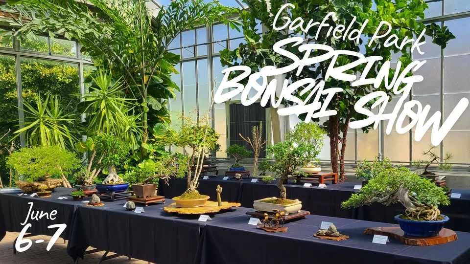 Garfield Park Spring Bonsai Show