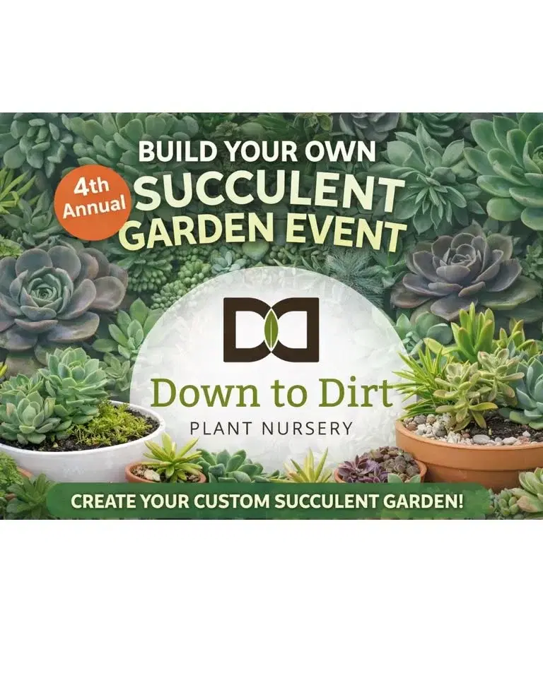 4th Annual Build Your Own Succulent Garden Event