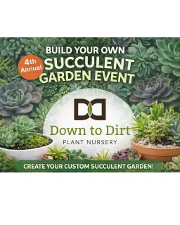 4th Annual Build Your Own Succulent Garden Event