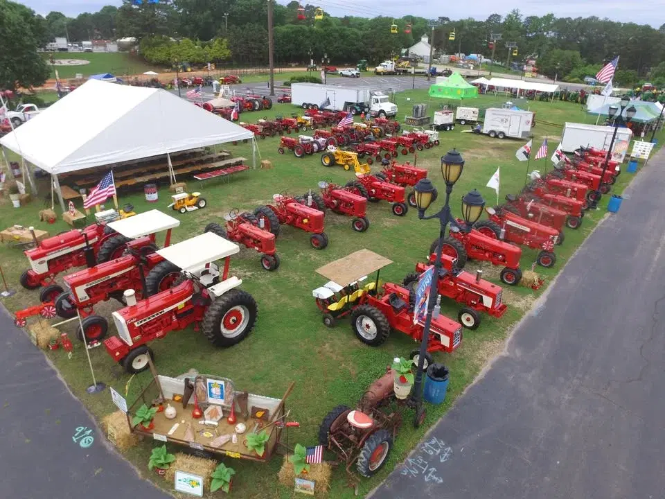 Got to be NC Festival | Chapter 37 State show and Display