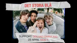 Det Stora Blå + Golvad Grävling | Hus 7