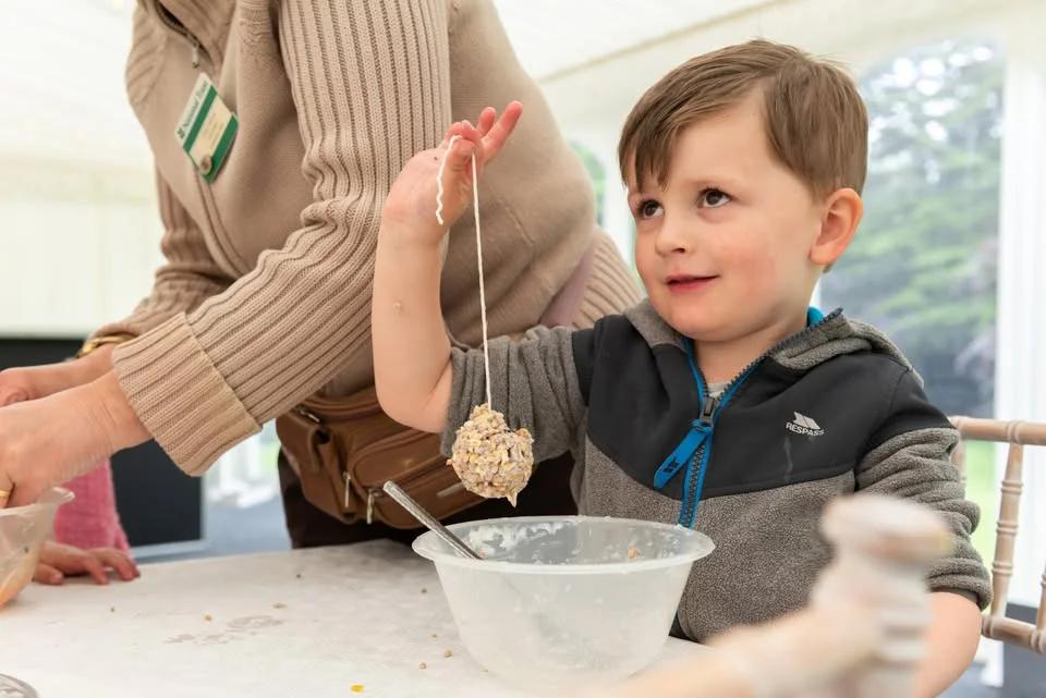 February Half Term Family Crafts at Moseley Old Hall - Make a pinecone bird feeder