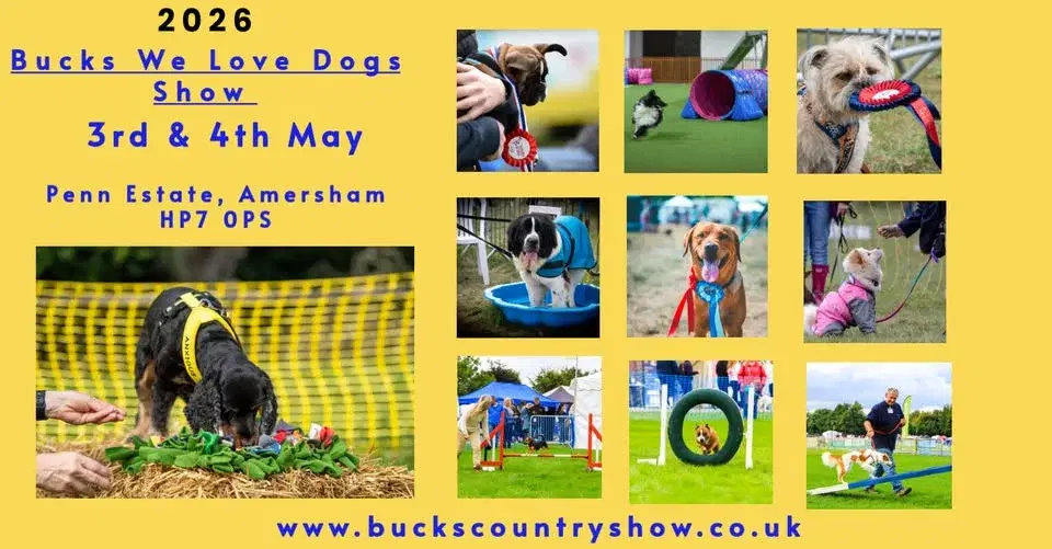 The Bucks We Love Dogs