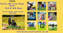 The Bucks We Love Dogs