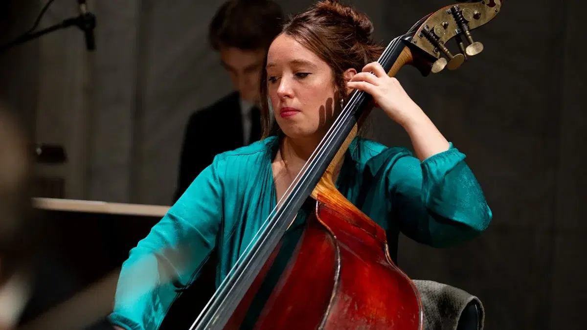 Amerikansk musikk i lys og mørke