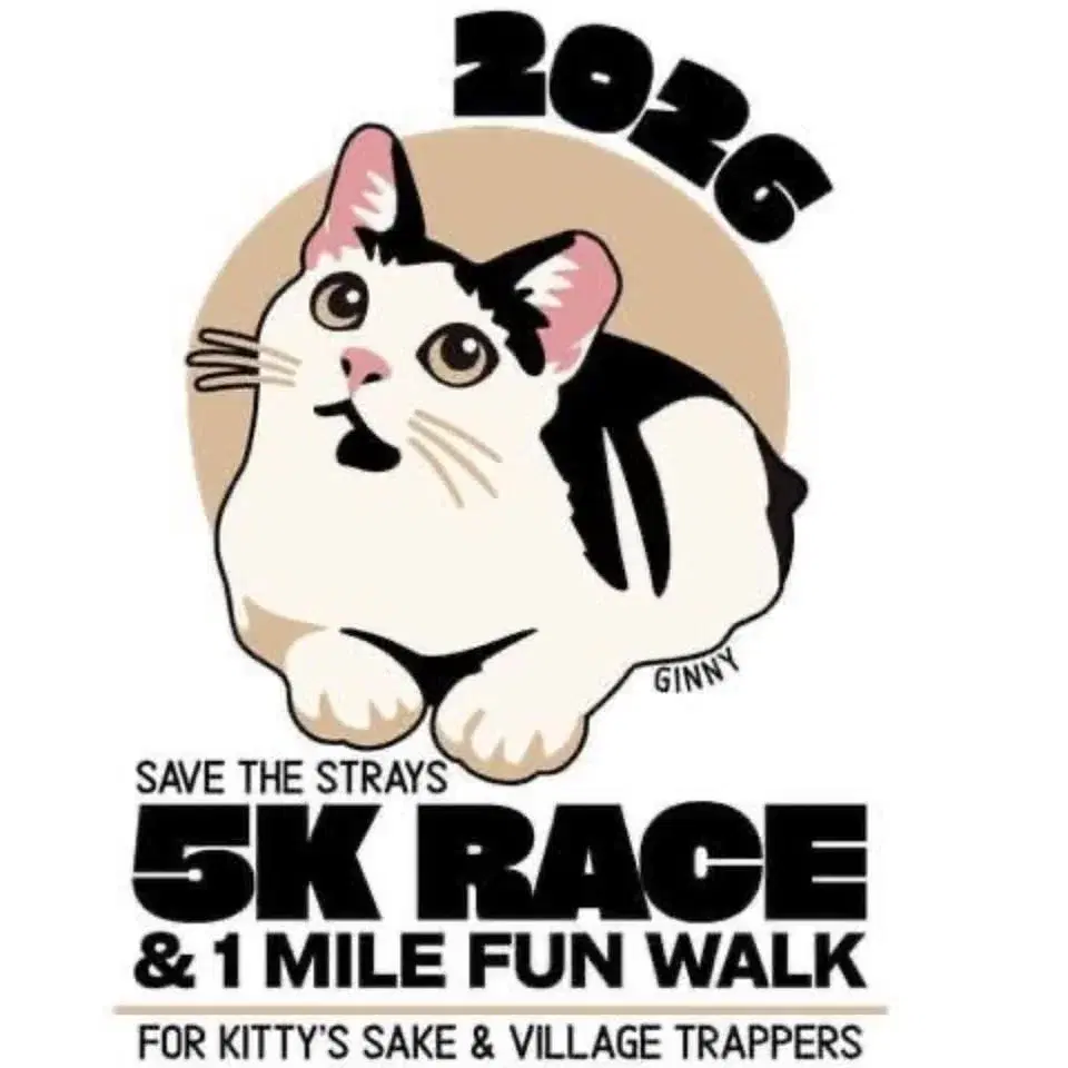 Save the Strays 5k and Fun Run