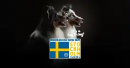 European Dog Show 2026 – Sweden (the official event)