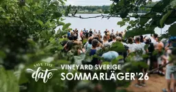 Vineyard Sverige Sommarläger 2026