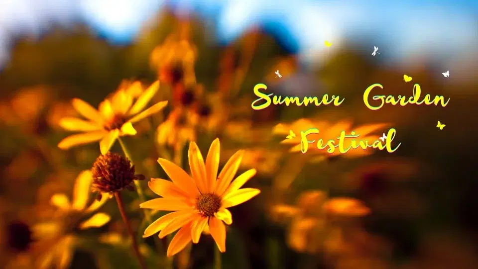 Summer Garden Festival