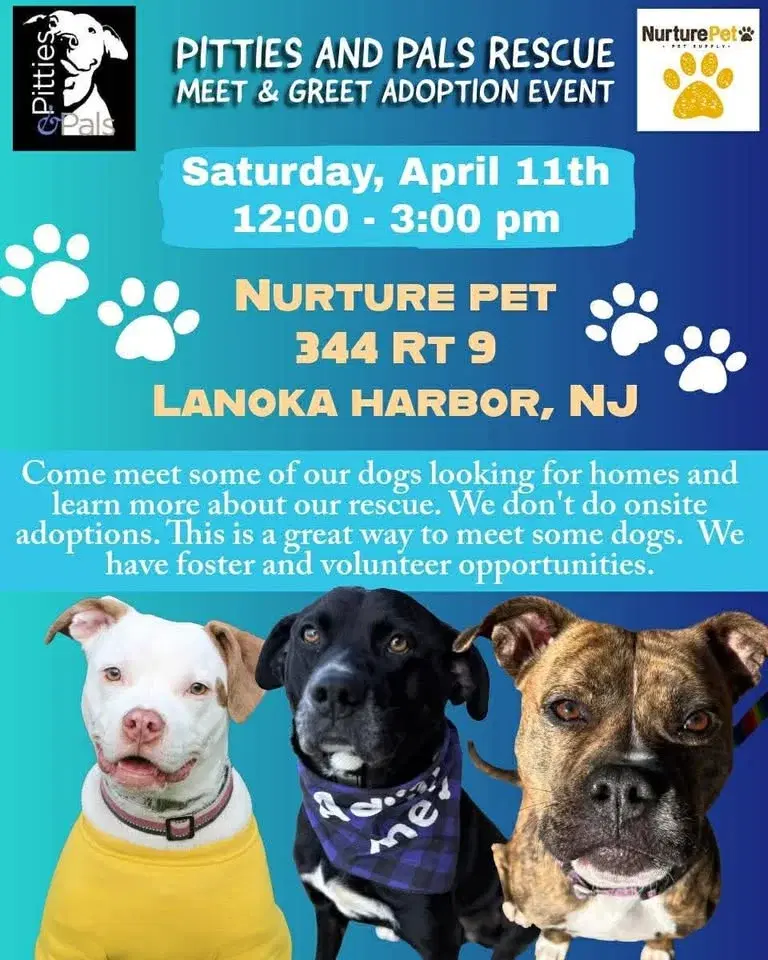 Nurture Pet Meet & Greet