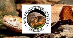 GREENVILLE NC - MID ATLANTIC REPTILE EXPO