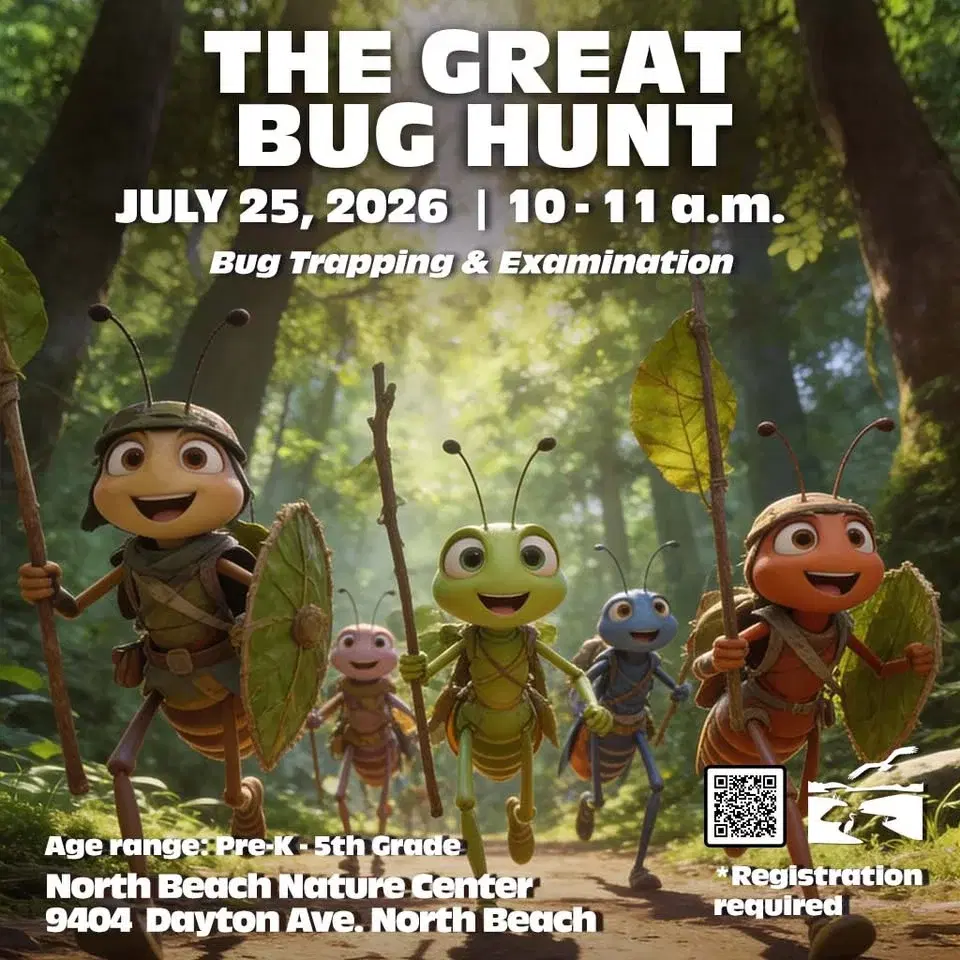 The Great Bug Hunt - North Beach Nature Center