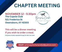Chapter Meeting - November 2026