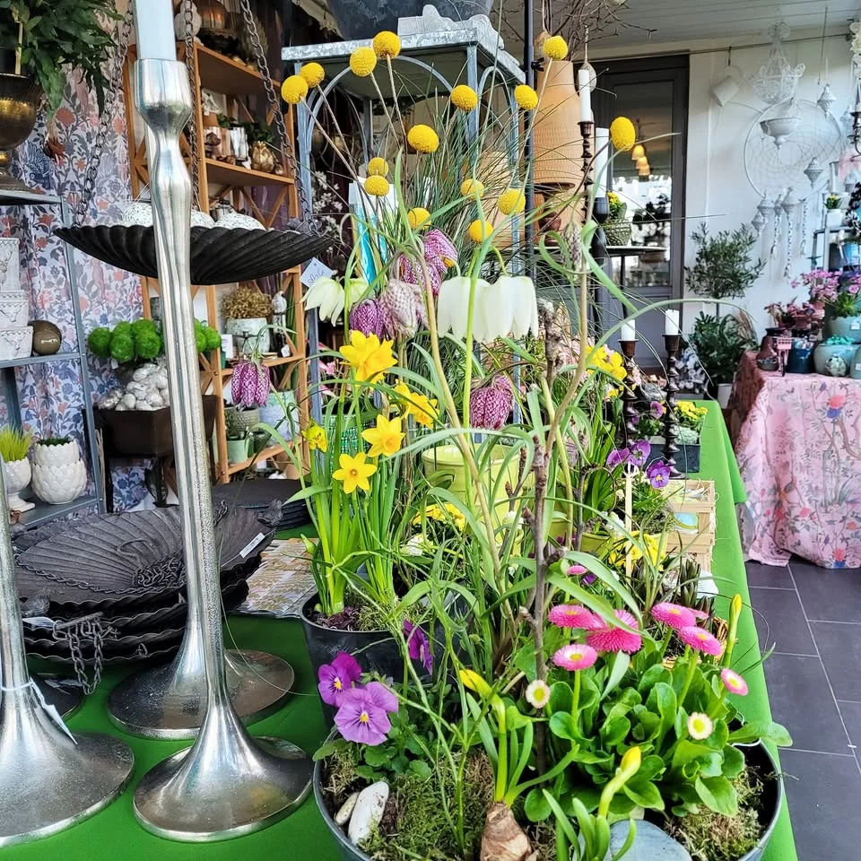 Konst och vingårdsrunda på Söderslätt