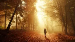 Meditationskurs: Tillflykt- ett inre skydd