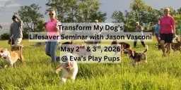 Transform My Dog’s Lifesaver Seminar with Jason Vasconi