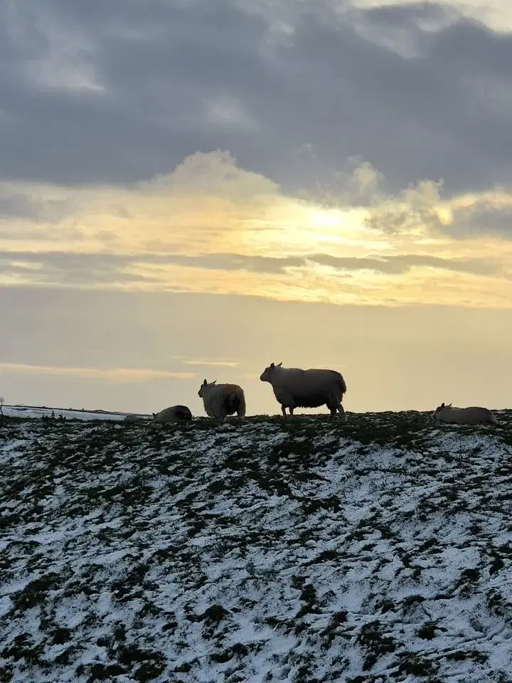Jaipur, Puddings & Cops... A Peak District Adventure.