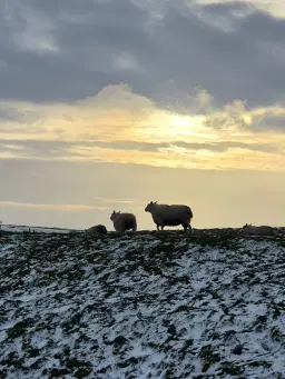 Jaipur, Puddings & Cops... A Peak District Adventure.