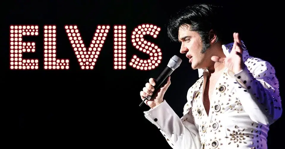 Elvis - Die Show