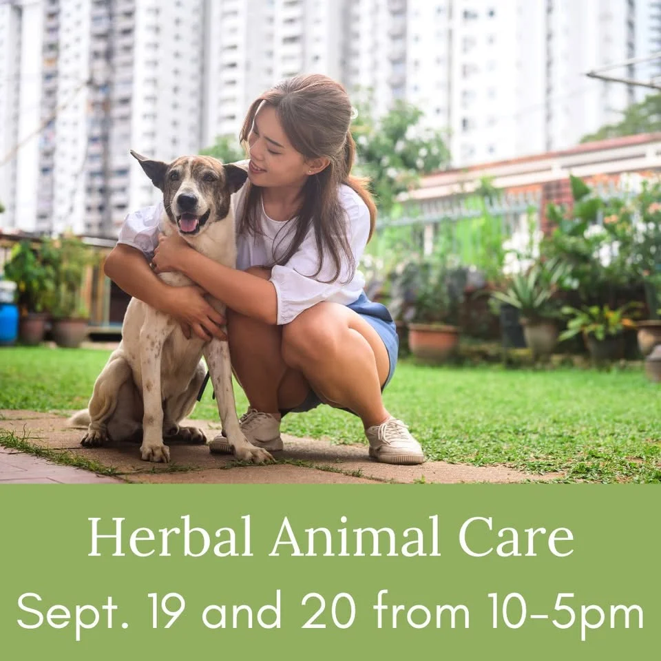 Herbal Animal Care
