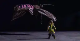 Familjevisning med Elin Ek