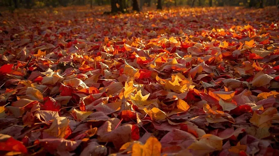 Podzimní kopečkova