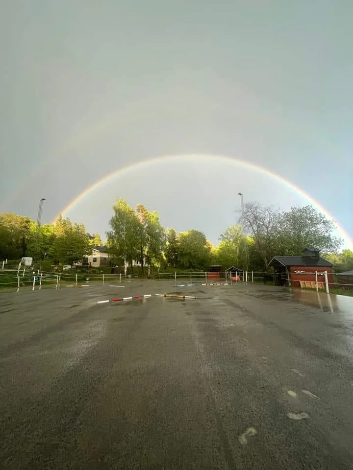 Helgguiden för Stockholm: 13-15 februari 2026