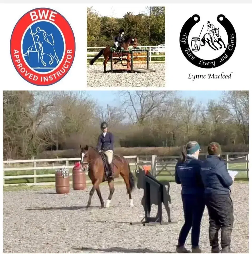 Working Equitation Training Competition April